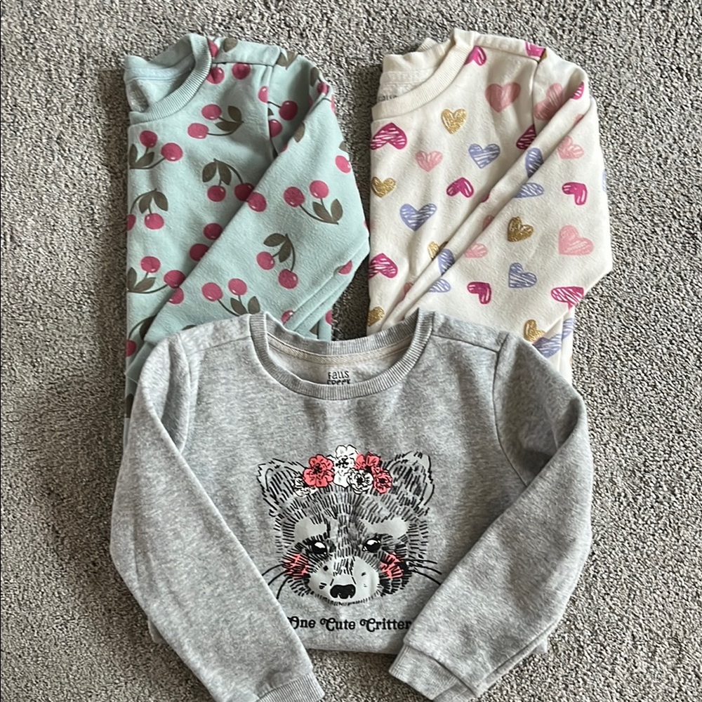 Bundle of 3 Falls Creek 5T sweatshirts